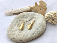 Load image into Gallery viewer, Gold Holkham Mussel Shell Necklace