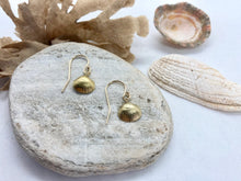 Load image into Gallery viewer, Gold Cockle Shell Earrings