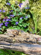 Load image into Gallery viewer, Gold Poppy Seed Earrings