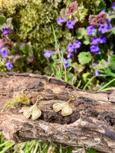 Load image into Gallery viewer, Gold Ginkgo Leaf Earrings