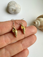 Load image into Gallery viewer, Gold Spiral Shell Earrings
