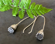 Load image into Gallery viewer, Silver Poppy Seed Head Drop Earrings
