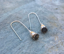Load image into Gallery viewer, Silver Poppy Seed Head Drop Earrings
