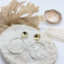 Load image into Gallery viewer, Tiny Gold Cockle Shells on Silver Hoops
