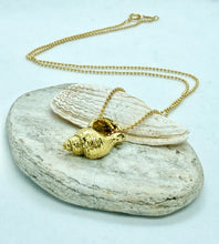 Load image into Gallery viewer, Gold Seashell Necklace
