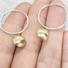 Load image into Gallery viewer, Tiny Gold Cockle Shells on Silver Hoops
