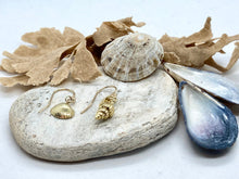 Load image into Gallery viewer, Mismatched Gold Shell Earrings
