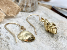 Load image into Gallery viewer, Mismatched Gold Shell Earrings
