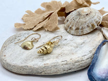 Load image into Gallery viewer, Mismatched Gold Shell Earrings
