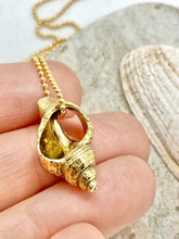 Load image into Gallery viewer, Gold Seashell Necklace
