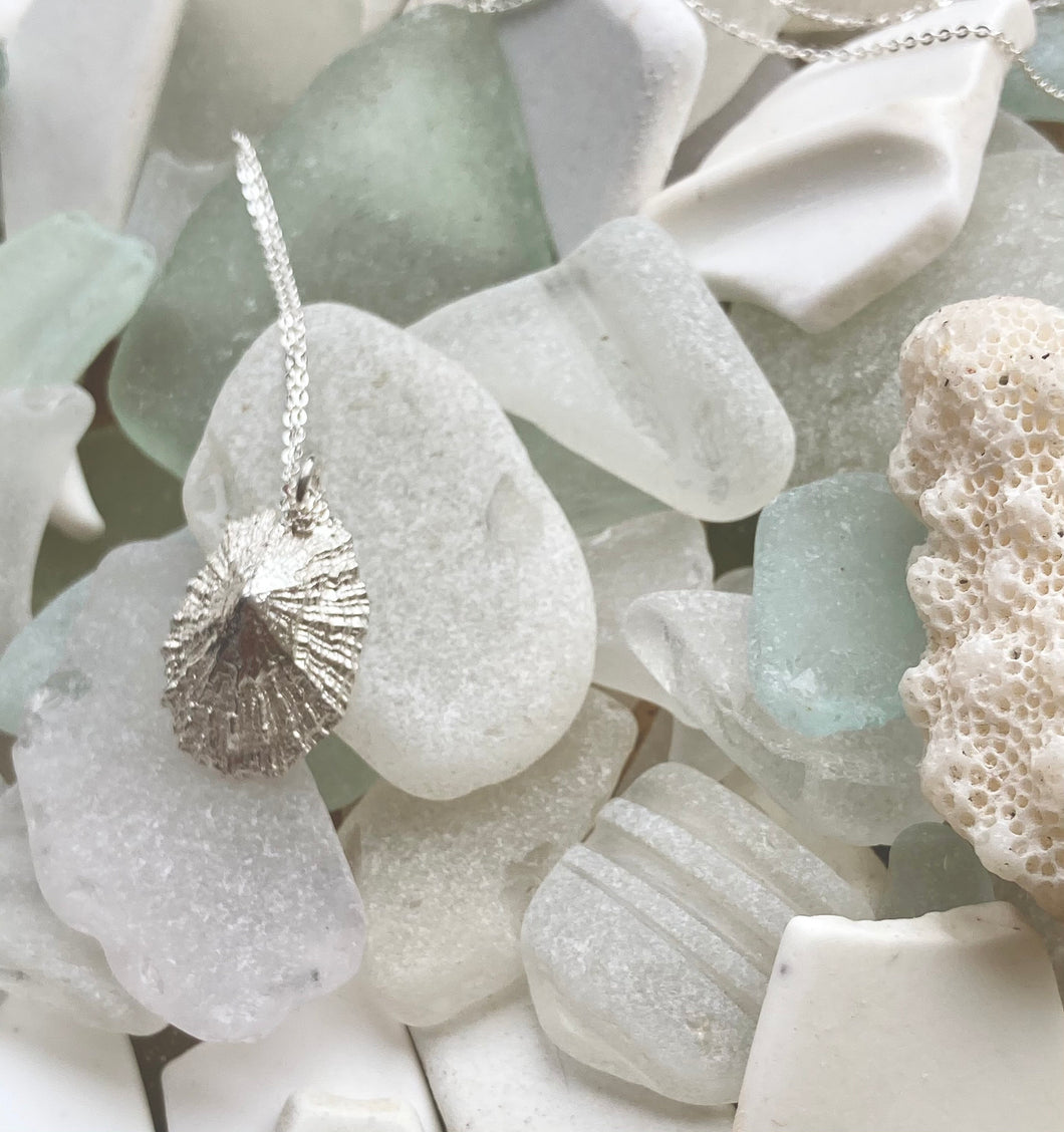Silver Limpet Necklace