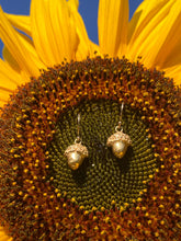 Load image into Gallery viewer, Silver Acorn Earrings
