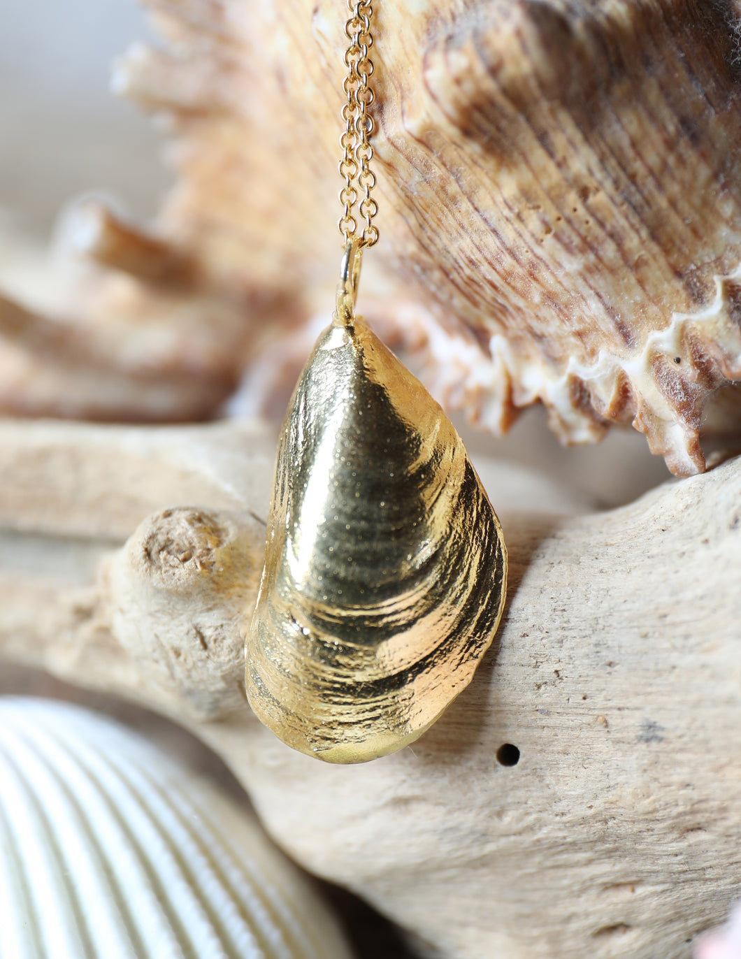 Gold Holkham Mussel Shell Necklace