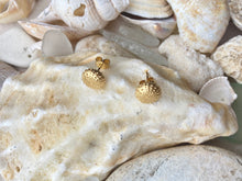Load image into Gallery viewer, Sea Urchin Stud Earrings

